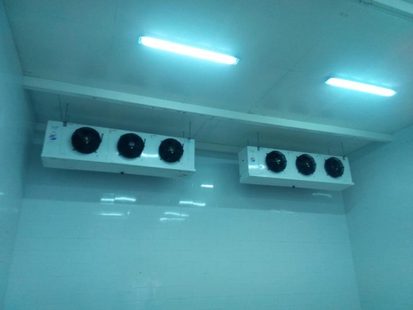 Cámara de refrigeración 